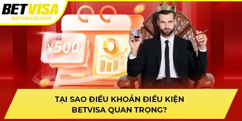 Tại sao điều khoản điều kiện BETVISA quan trọng?