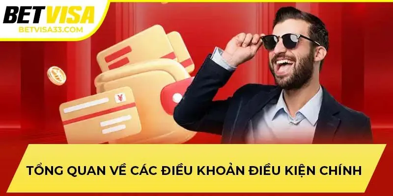 Tổng quan về các điều khoản điều kiện chính